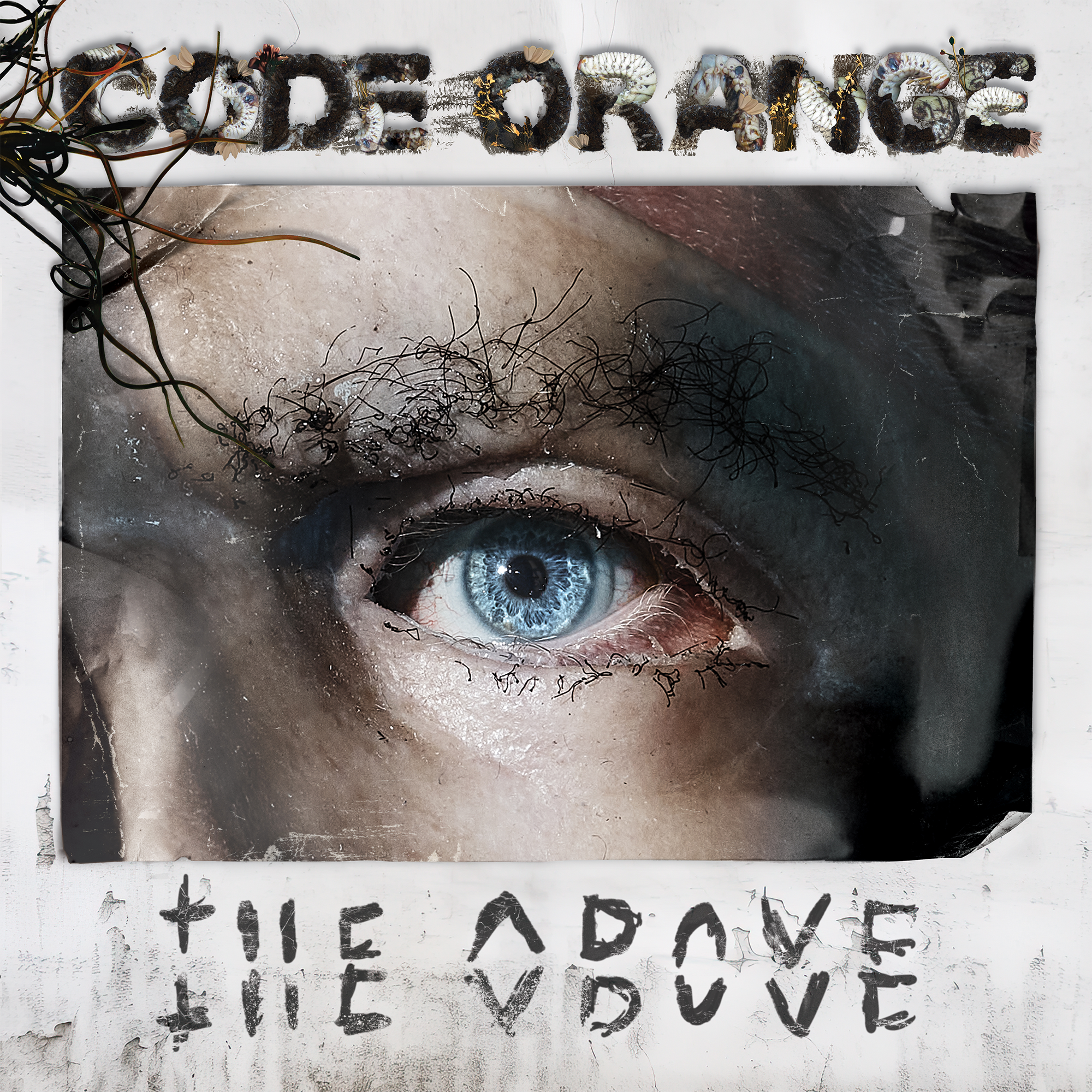 CODE ORANGE - The Above (Pre-Order) – Blue Grape Music